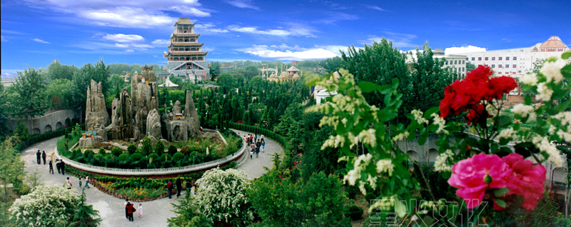 图片31